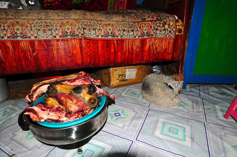 Mongolia